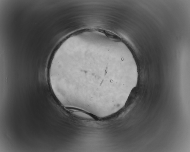X0000088490932200706191422