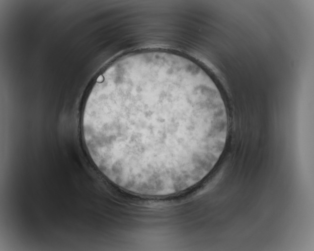 X0000088490933200706191422