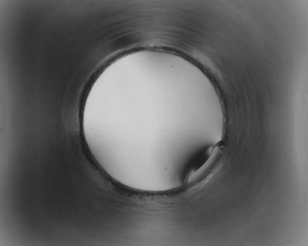 X0000088490934200706191422