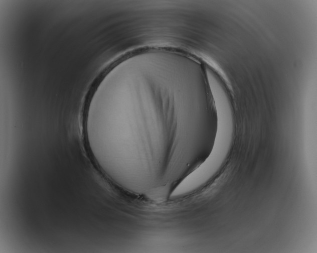 X0000088490935200706191422