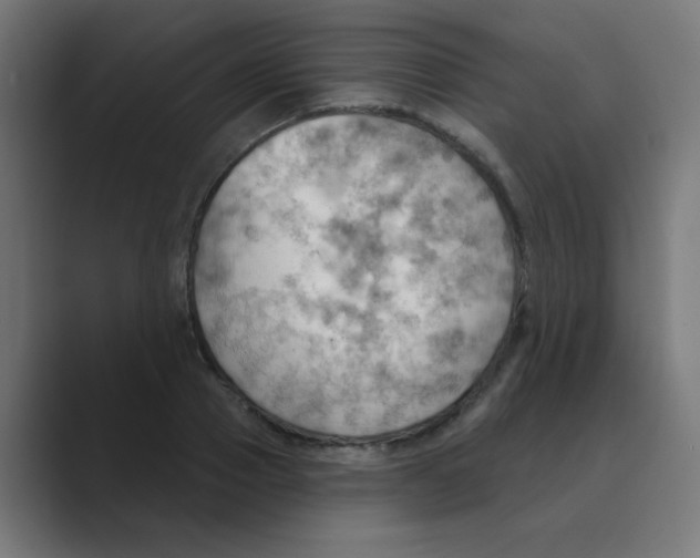 X0000088490937200706191422