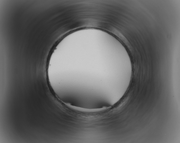 X0000088490939200706191422