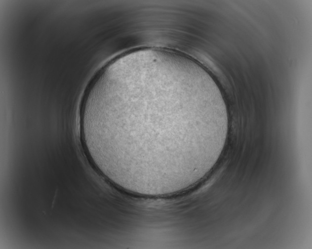 X0000088490940200706191422