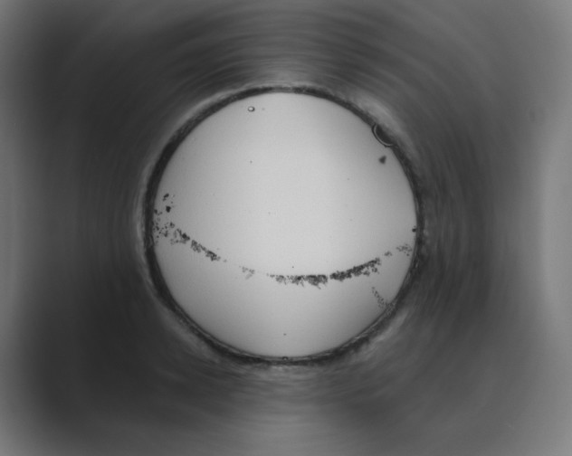 X0000088490942200706191422