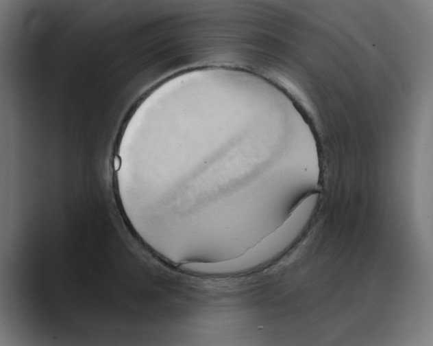 X0000088490944200706191422
