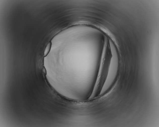 X0000088490945200706191422