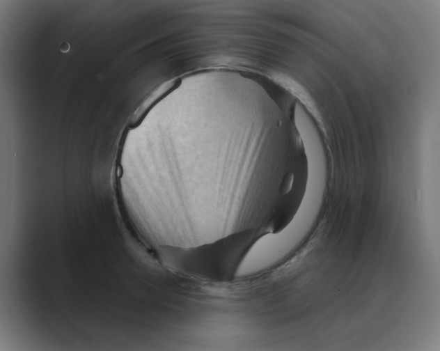 X0000088490946200706191422