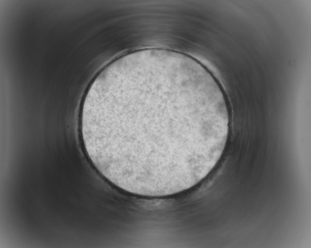 X0000088490949200706191422