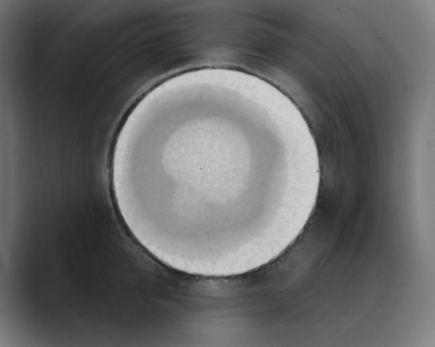 X0000088490950200706191422