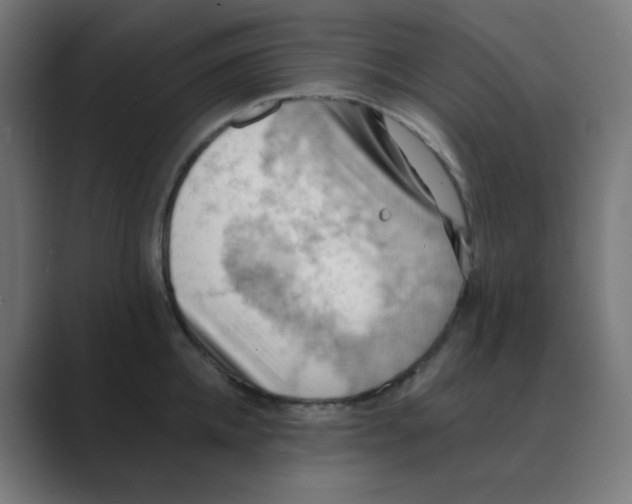 X0000088490952200706191422