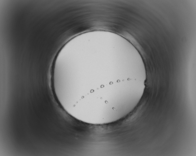 X0000088490955200706191422