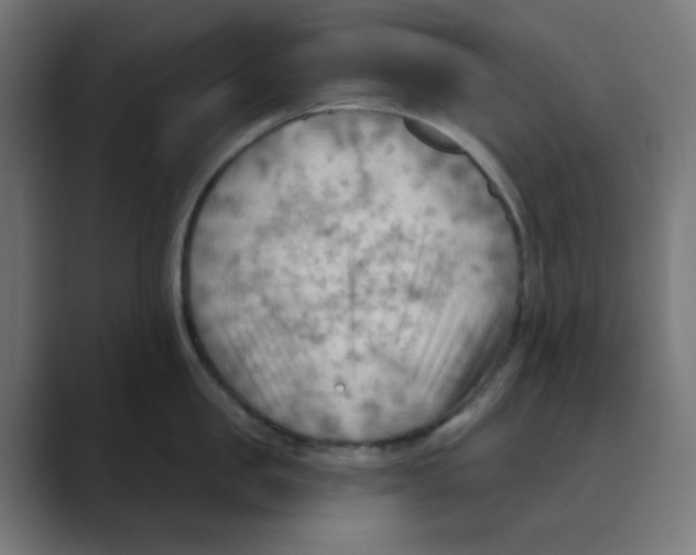 X0000088490957200706191422