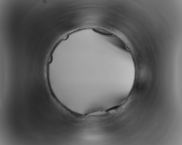 X0000088490958200706191422