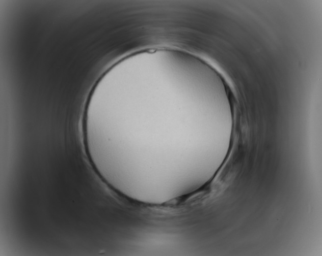 X0000088490959200706191422