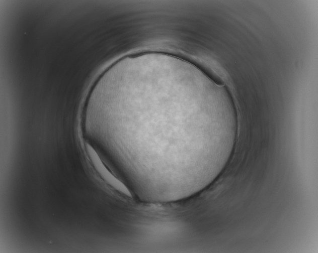 X0000088490960200706191422