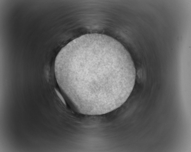 X0000088490963200706191421