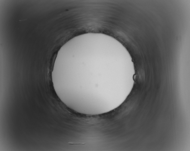 X0000088490964200706191421