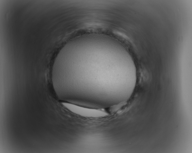 X0000088490965200706191421