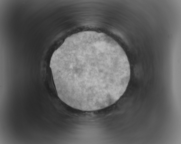 X0000088490968200706191421