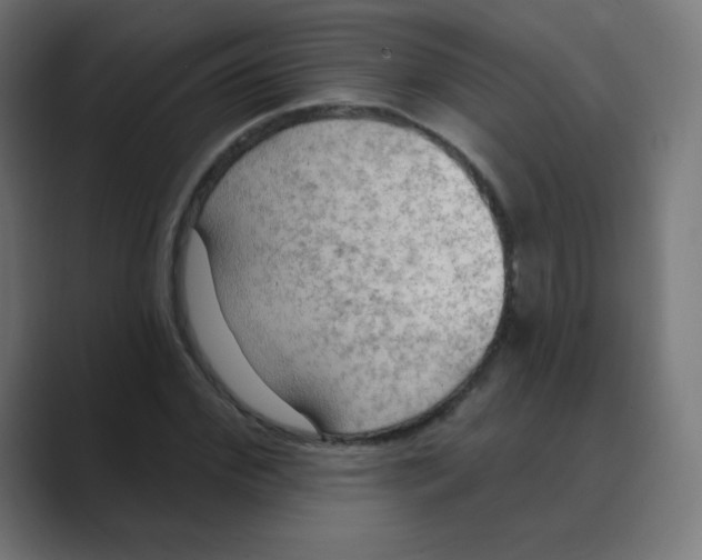 X0000088490972200706191421