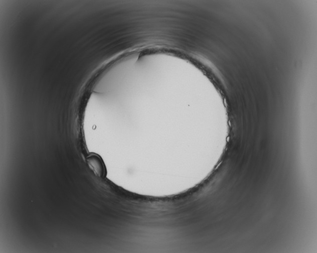 X0000088490973200706191421
