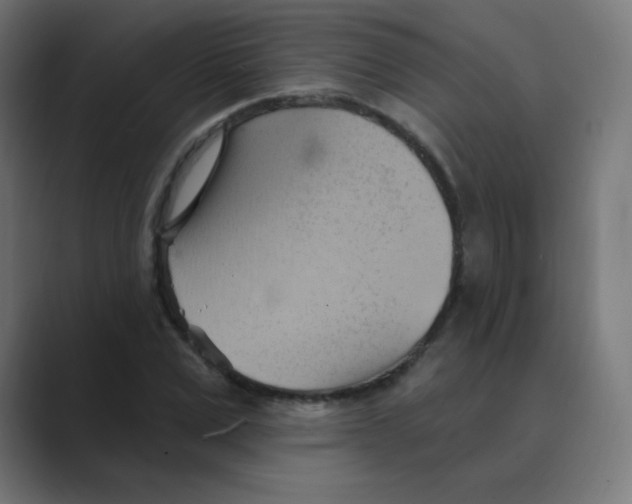 X0000088490975200706191421