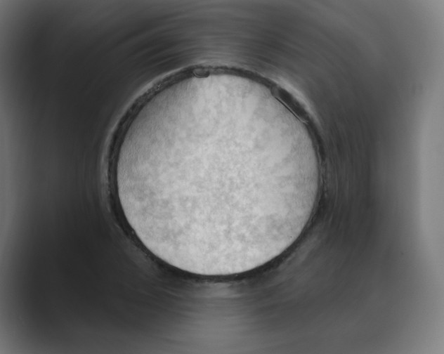 X0000088490976200706191421