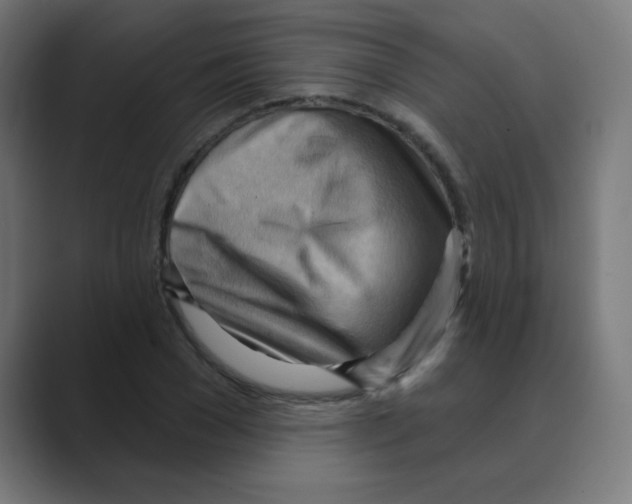X0000088490977200706191421