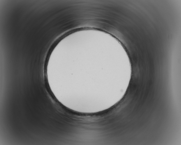 X0000088490980200706191421