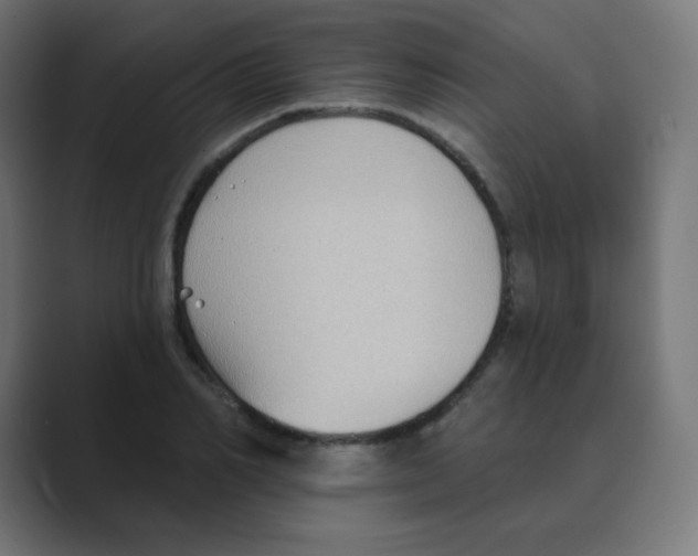 X0000088490982200706191421