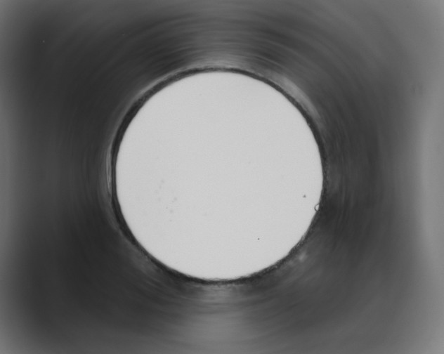 X0000088490988200706191421