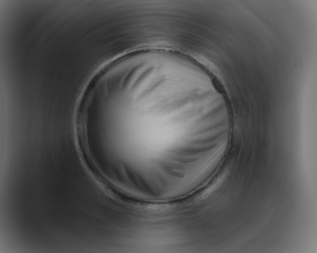 X0000088490989200706191421