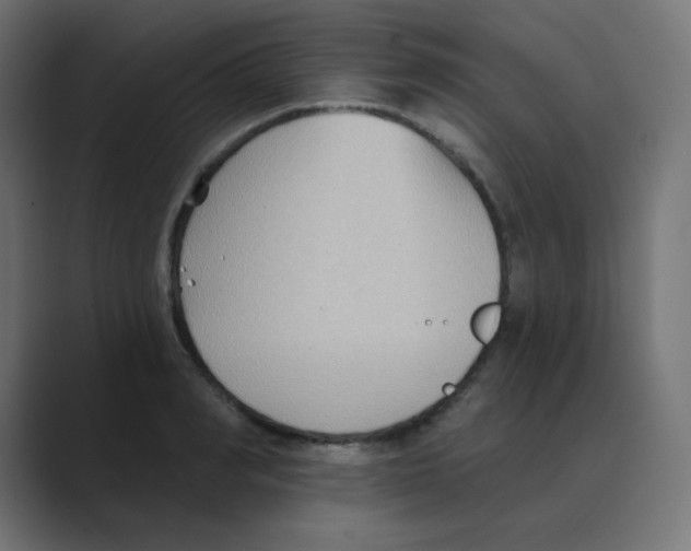 X0000088490990200706191421