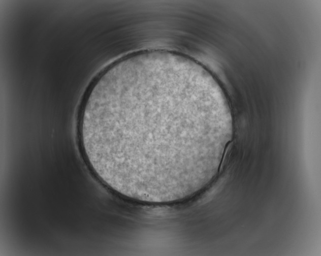 X0000088490991200706191421