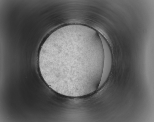 X0000088490992200706191421