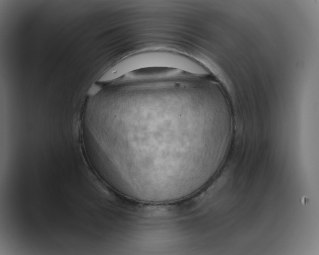 X0000088490993200706191421