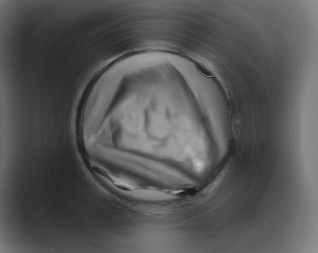 X0000088490995200706191421