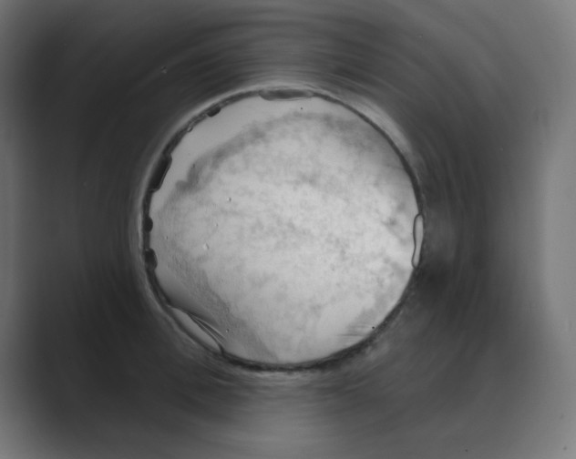 X0000088490996200706191421