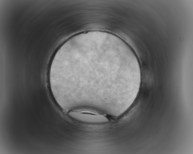 X0000088490997200706191421
