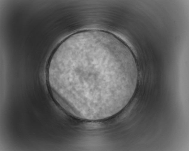 X0000088490998200706191421