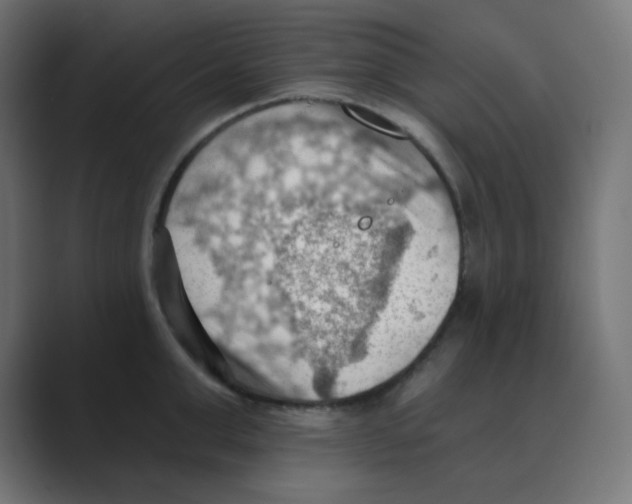 X0000088490999200706191421