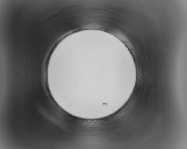 X0000088491000200706191421