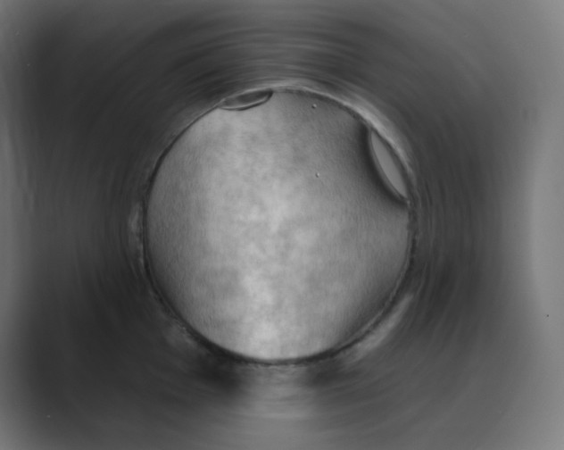 X0000088491001200706191421