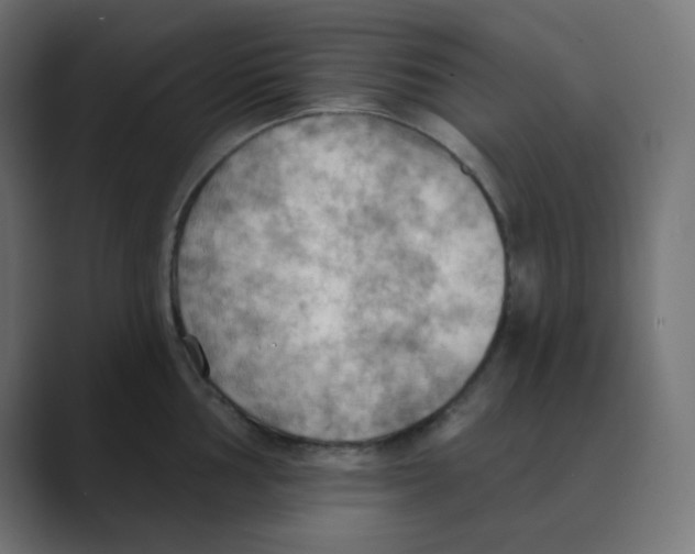 X0000088491002200706191421
