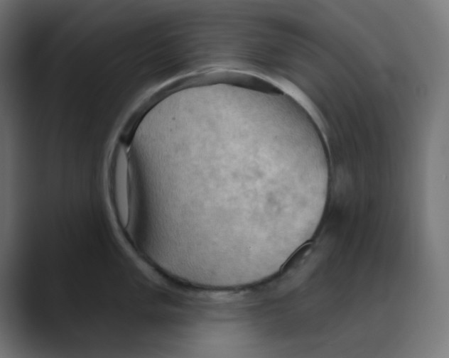 X0000088491005200706191421