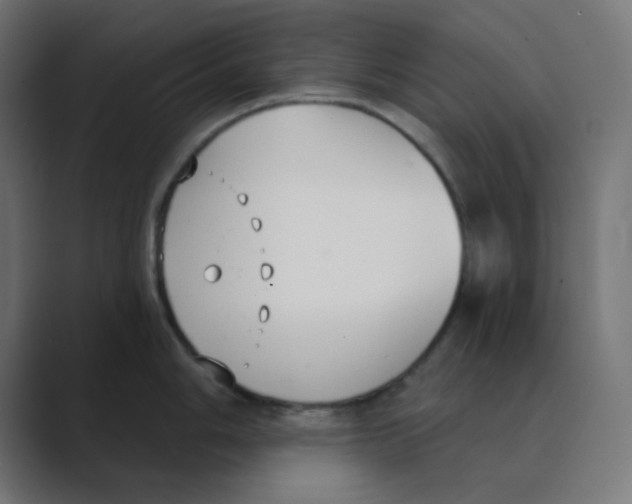 X0000088491006200706191421