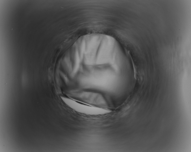 X0000088491010200706191420