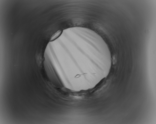 X0000088491011200706191420