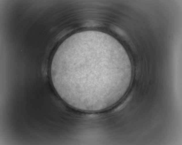 X0000088491017200706191420