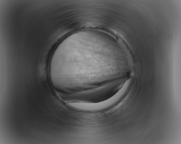 X0000088491018200706191420